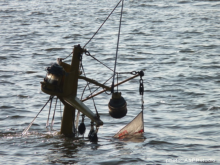 P2230805 holownik kuguar