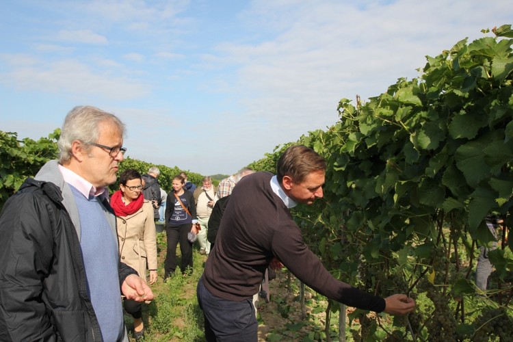 Wunobranie w zachodnipomorskim