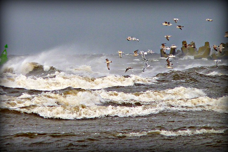 Globalne ocieplenie to naukowy&nbsp;mit?