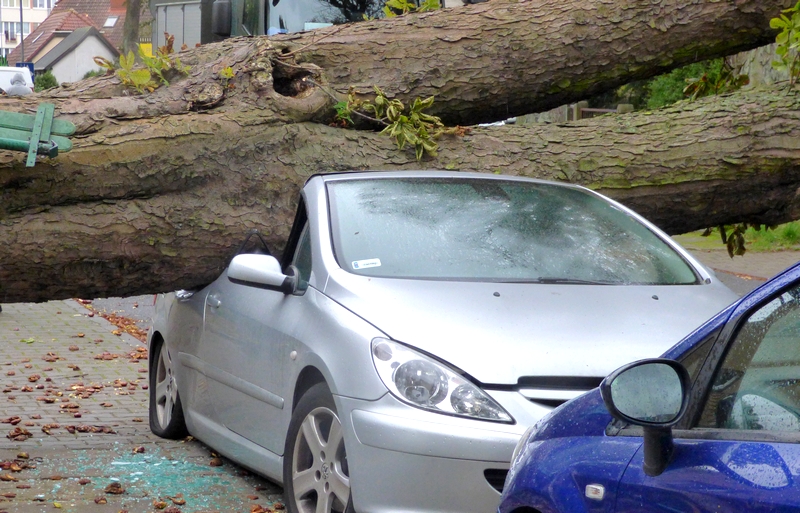 Sztorm na Bałtyku. Wiatr spowodował&nbsp;straty