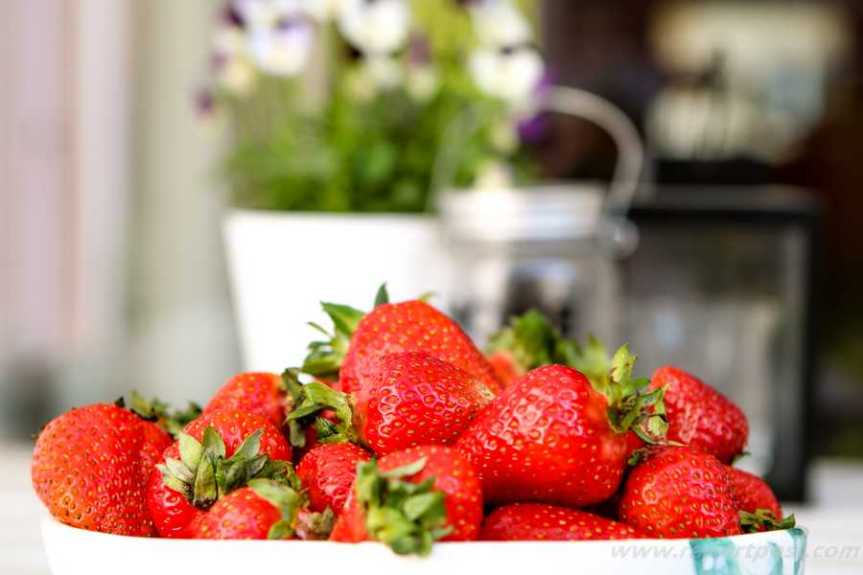 Sezon na truskawki uważamy za&nbsp;otwarty